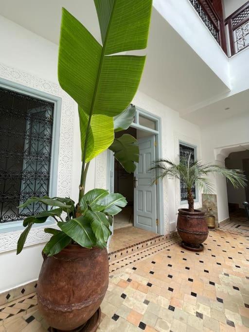 Riad Vivre - Design Boutique Riad In Marrakech Marrakesh Bagian luar foto